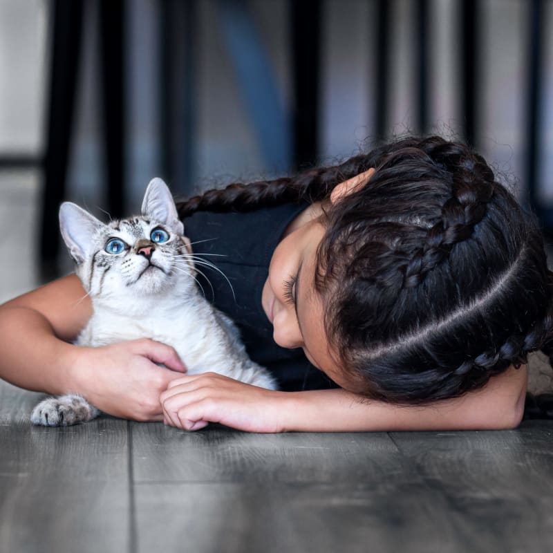 Marcello Veterinary Hospital in Louisiana